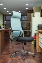 HIGH BACK-OFFICE CHAIR BLUE MESH AND LUMBAR SUPPORT  LJ-2005A